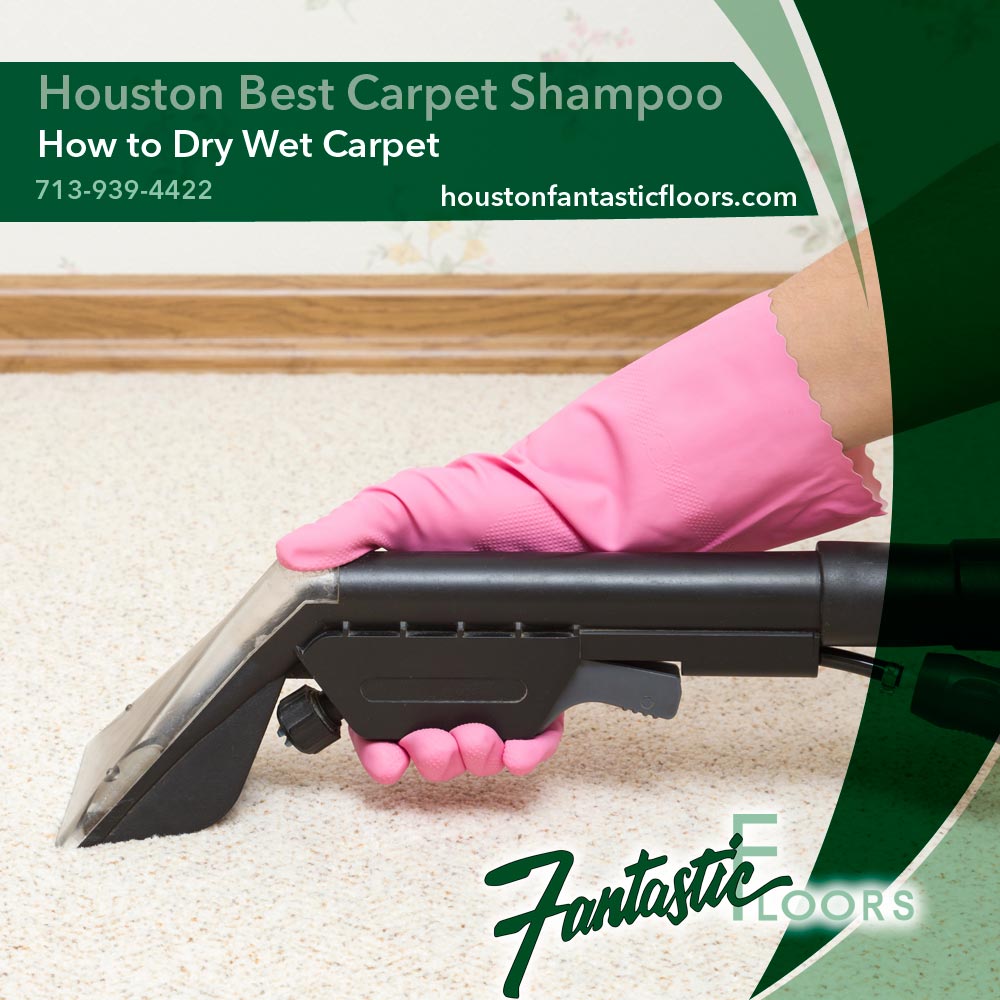 31 Houston Best Carpet Shampoo