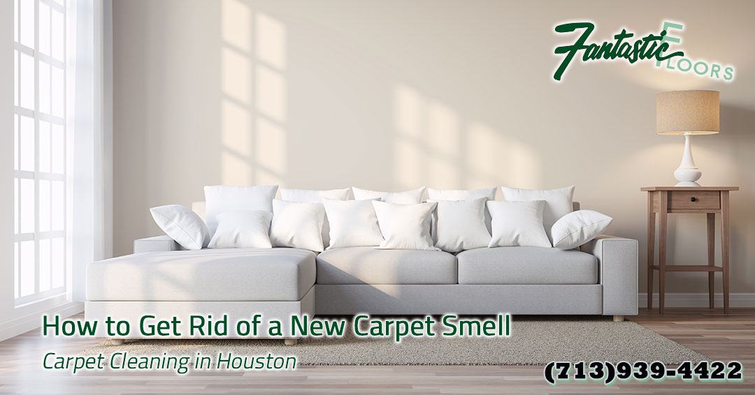 02 Carpet Cleaning in Houston