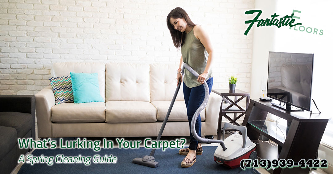 10 Carpet Cleaning in Houston