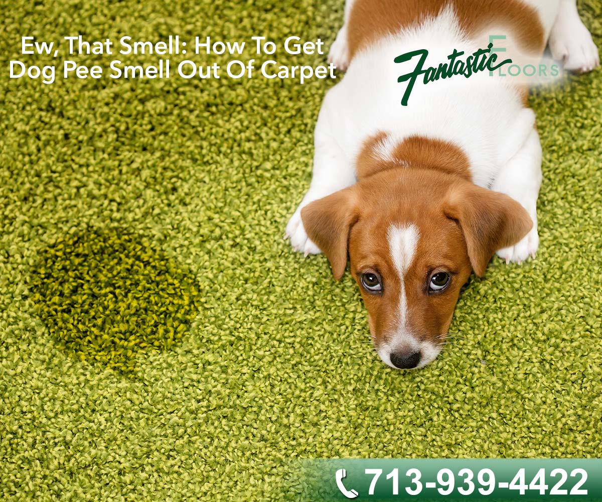 30 Carpet Cleaning in Houston