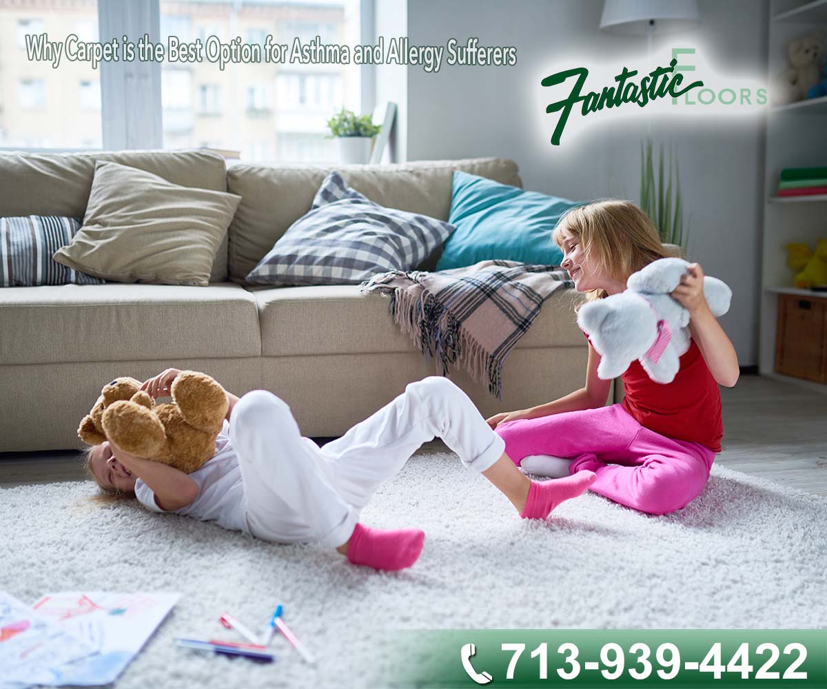 08 Best Carpet Cleaning in Houston