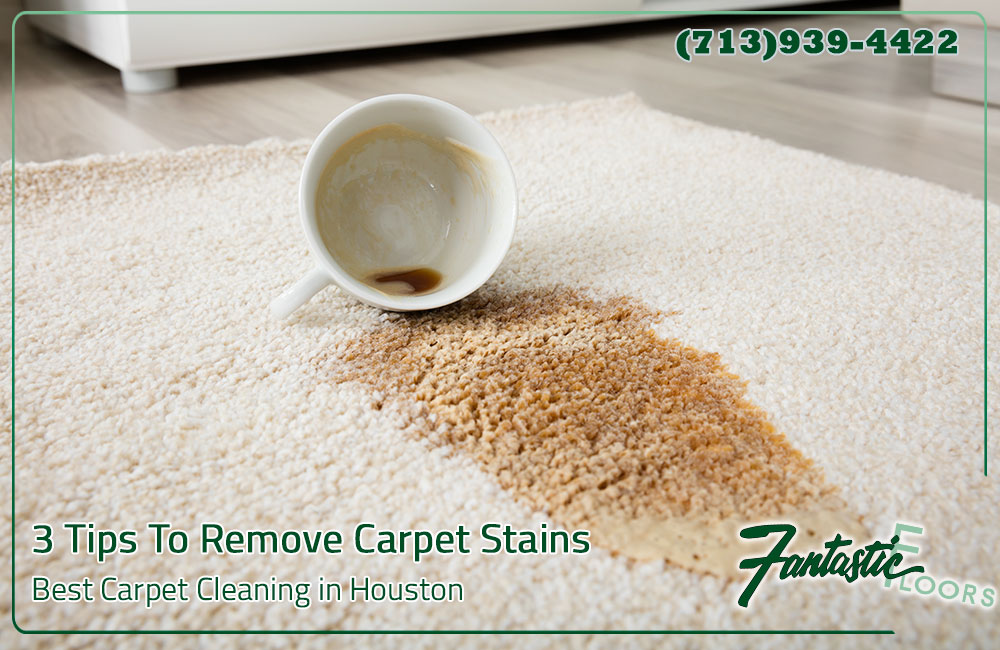 29 Best Carpet Cleaning in Houston