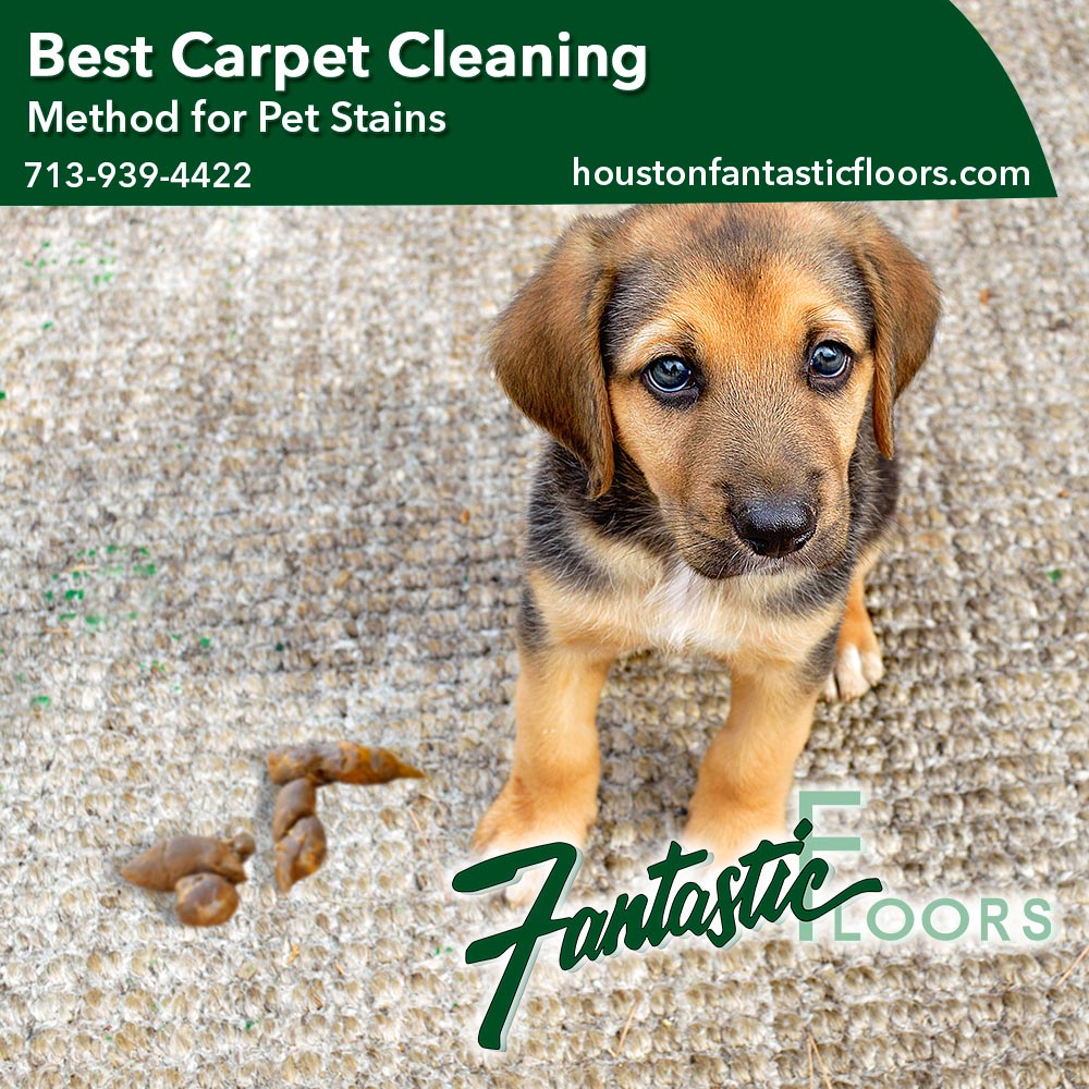 12 Best Carpet Cleaning in Houston