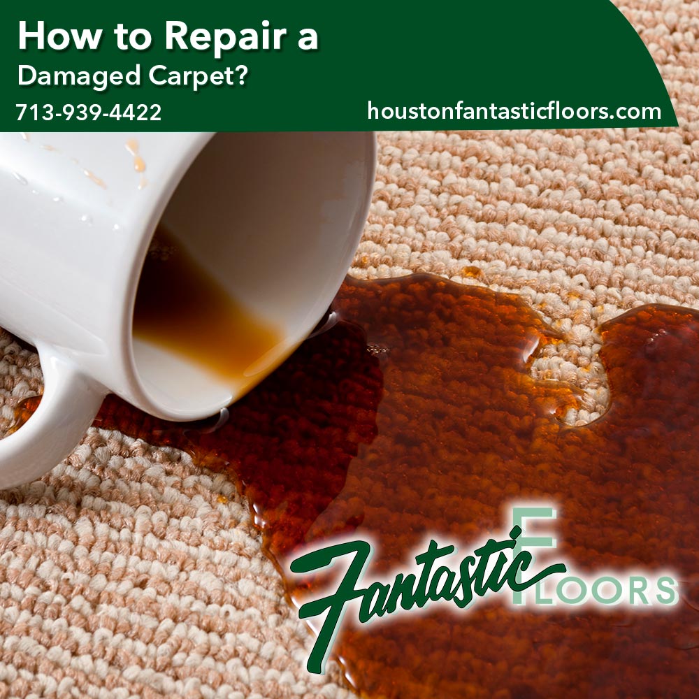 10 Carpet Cleaning in Houston