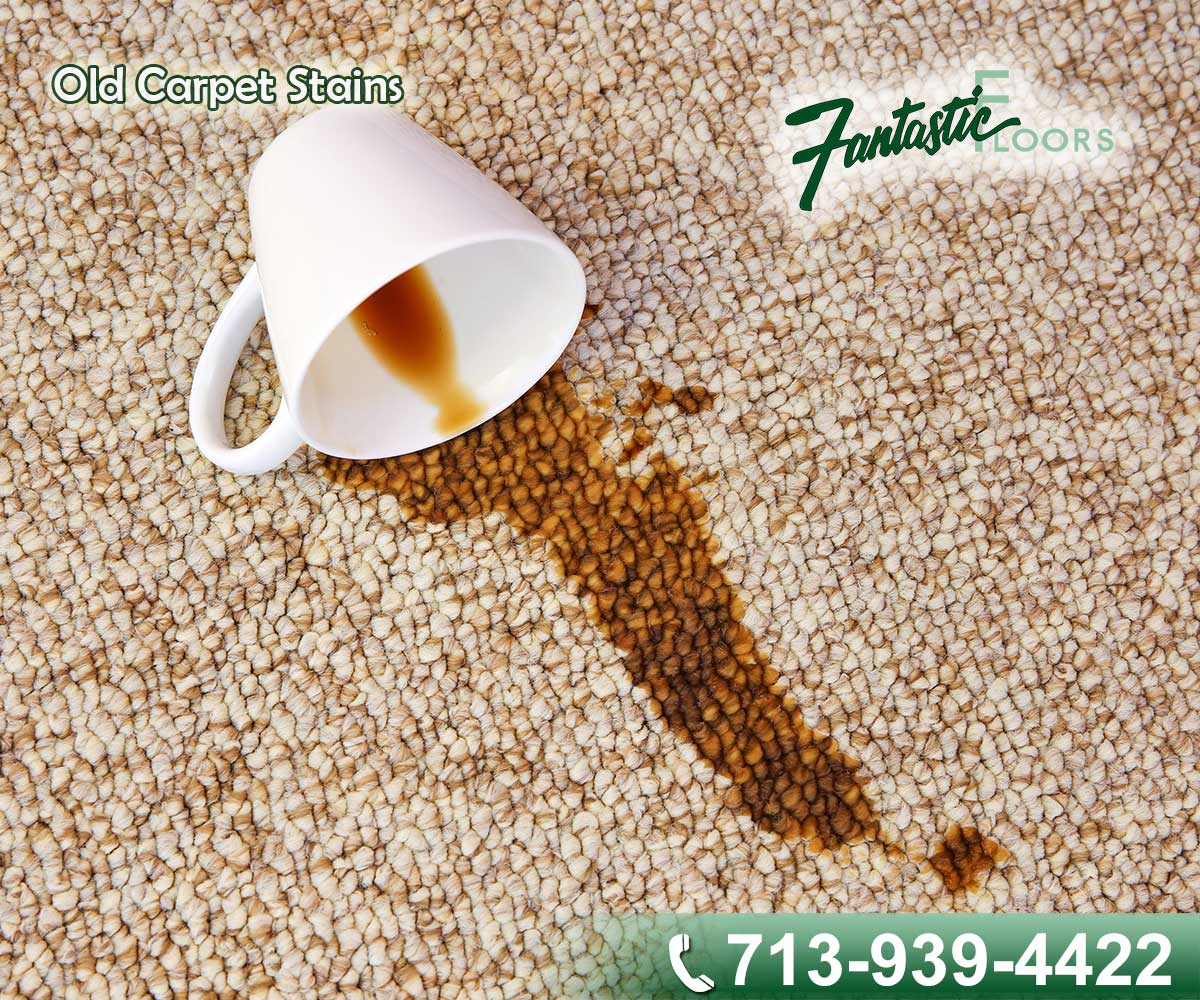 14 Carpet Cleaning in Houston