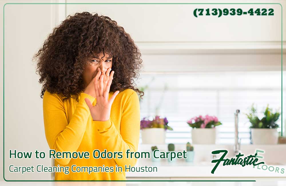 16 Carpet Cleaning Companies in Houston