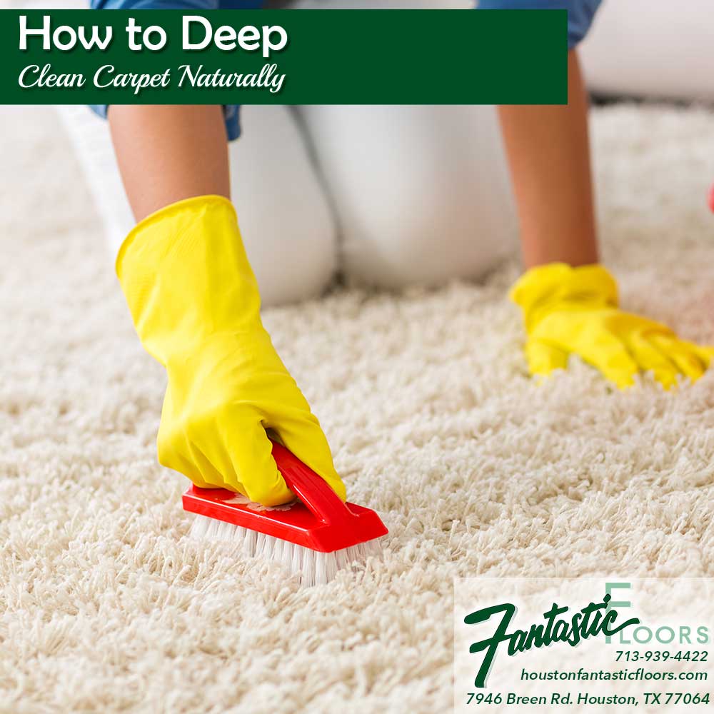 11 Best Carpet Cleaning in Houston