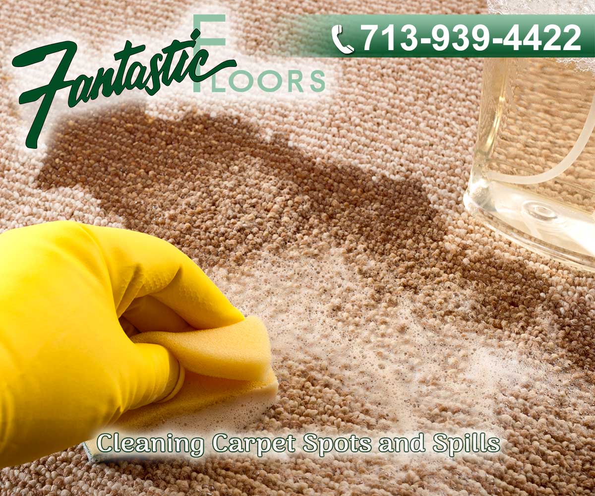 17 Best Carpet Cleaning in Houston
