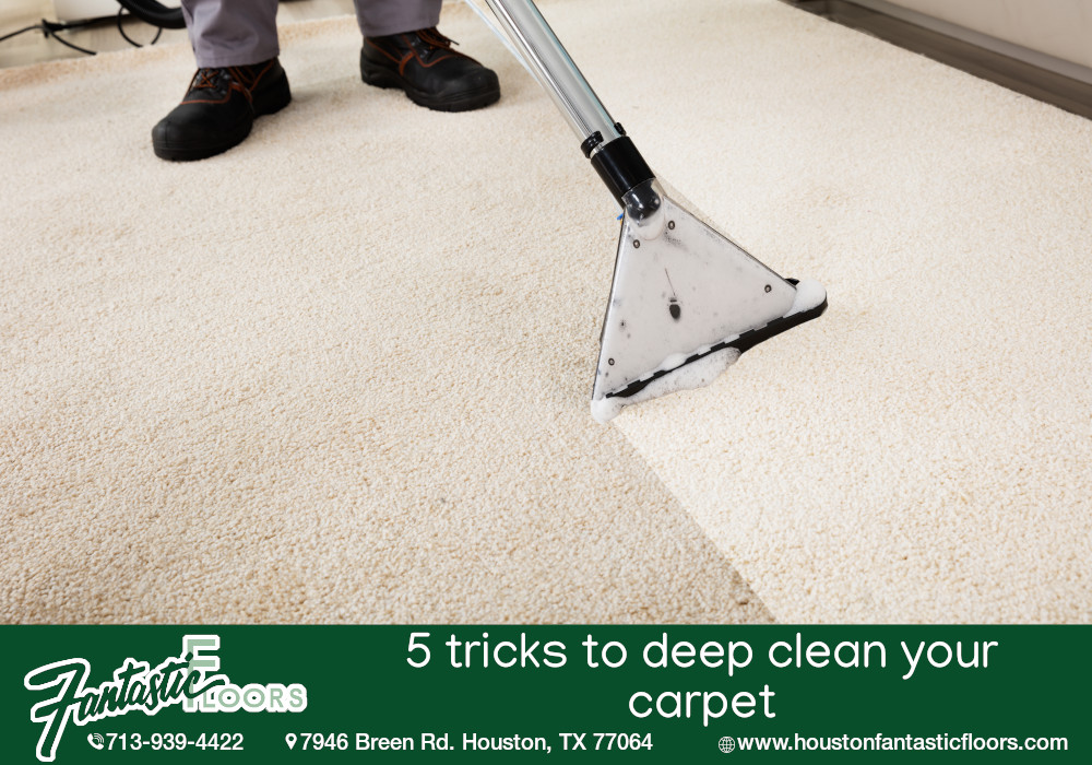 14 Best Carpet Cleaning in Houston