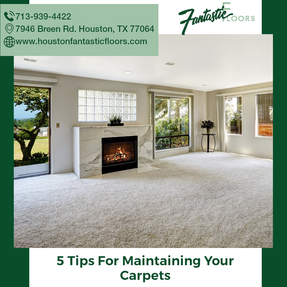 20 Best Carpet Cleaning in Houston