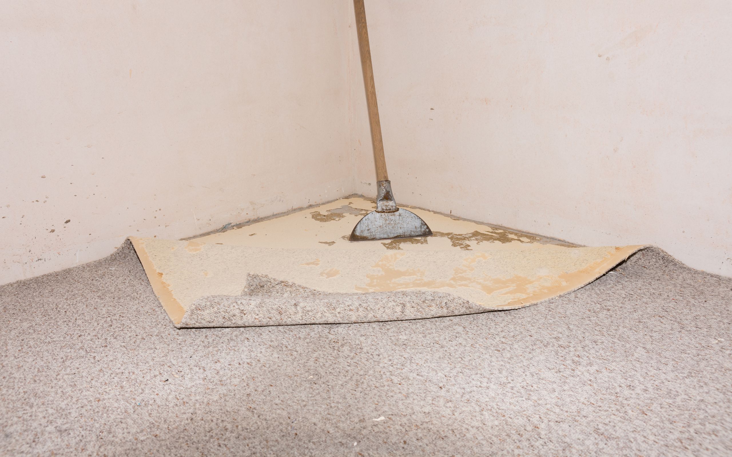 Should You Repair or Replace Your Carpet?