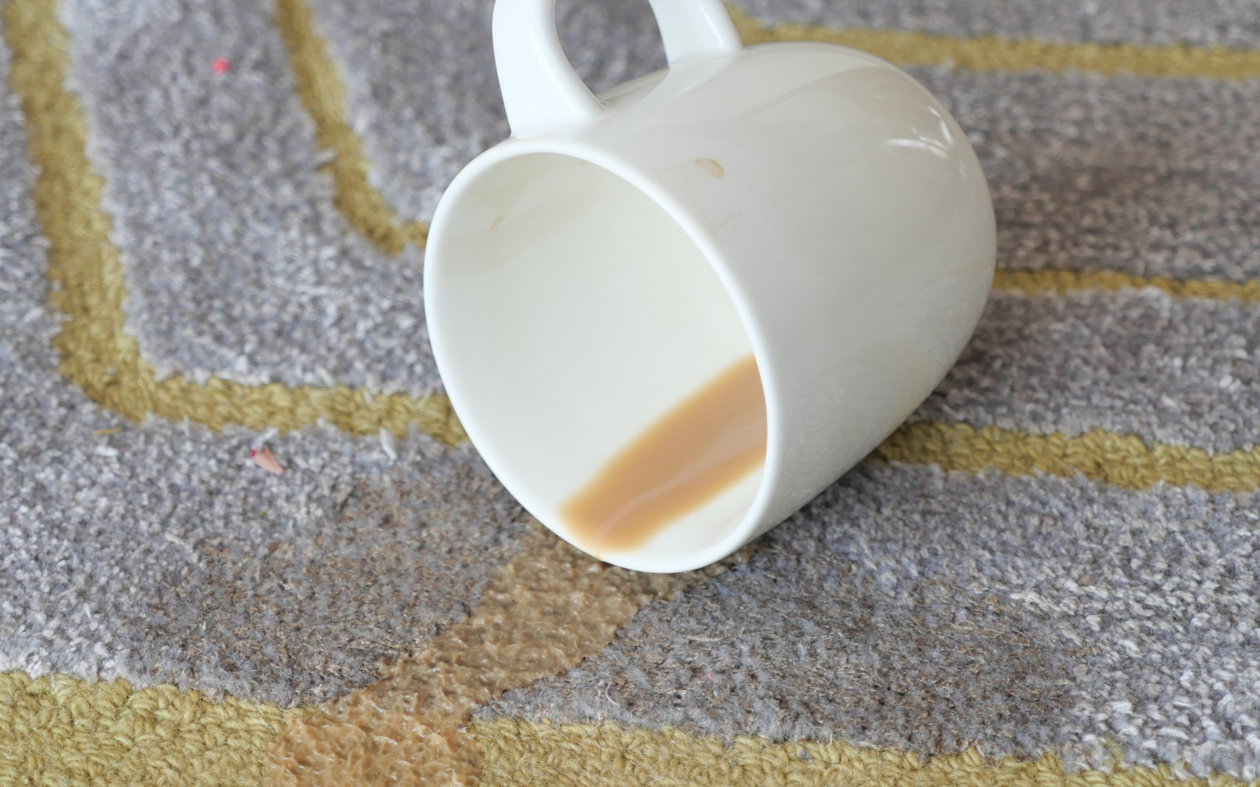 Carpet-treatments-Houston