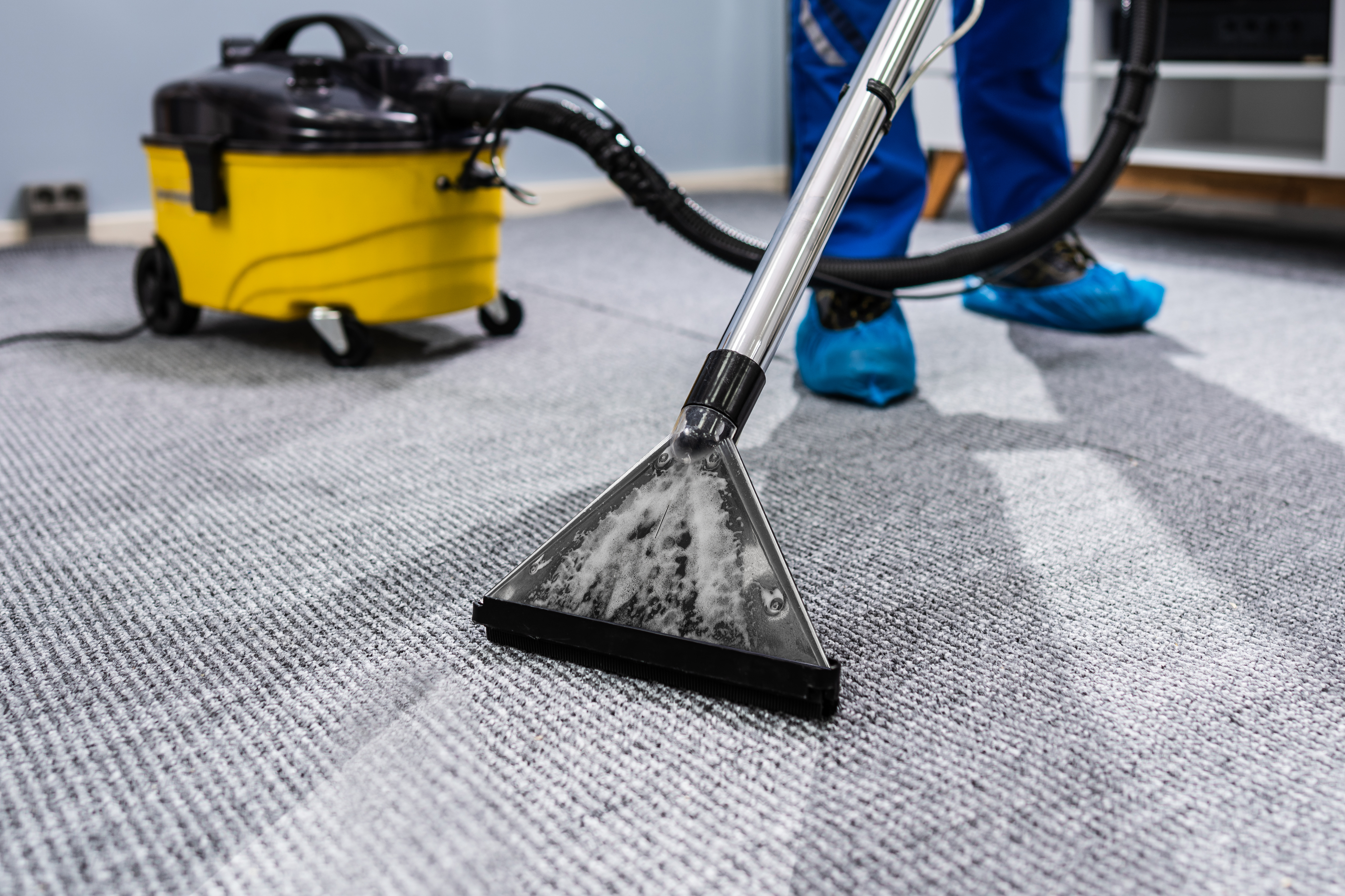 Benefits of Professional Carpet Cleaning Services