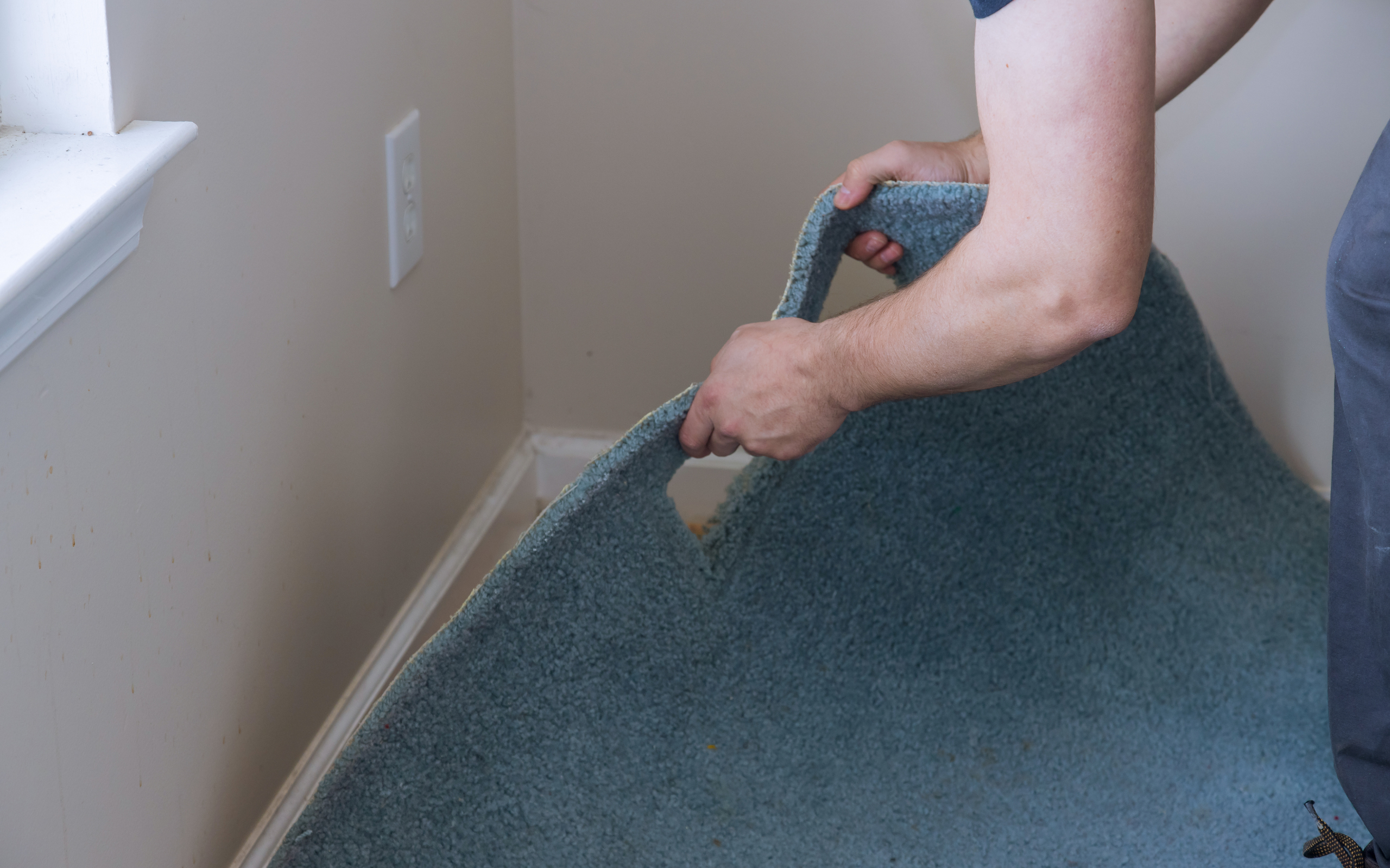 Licensed carpet repair experts