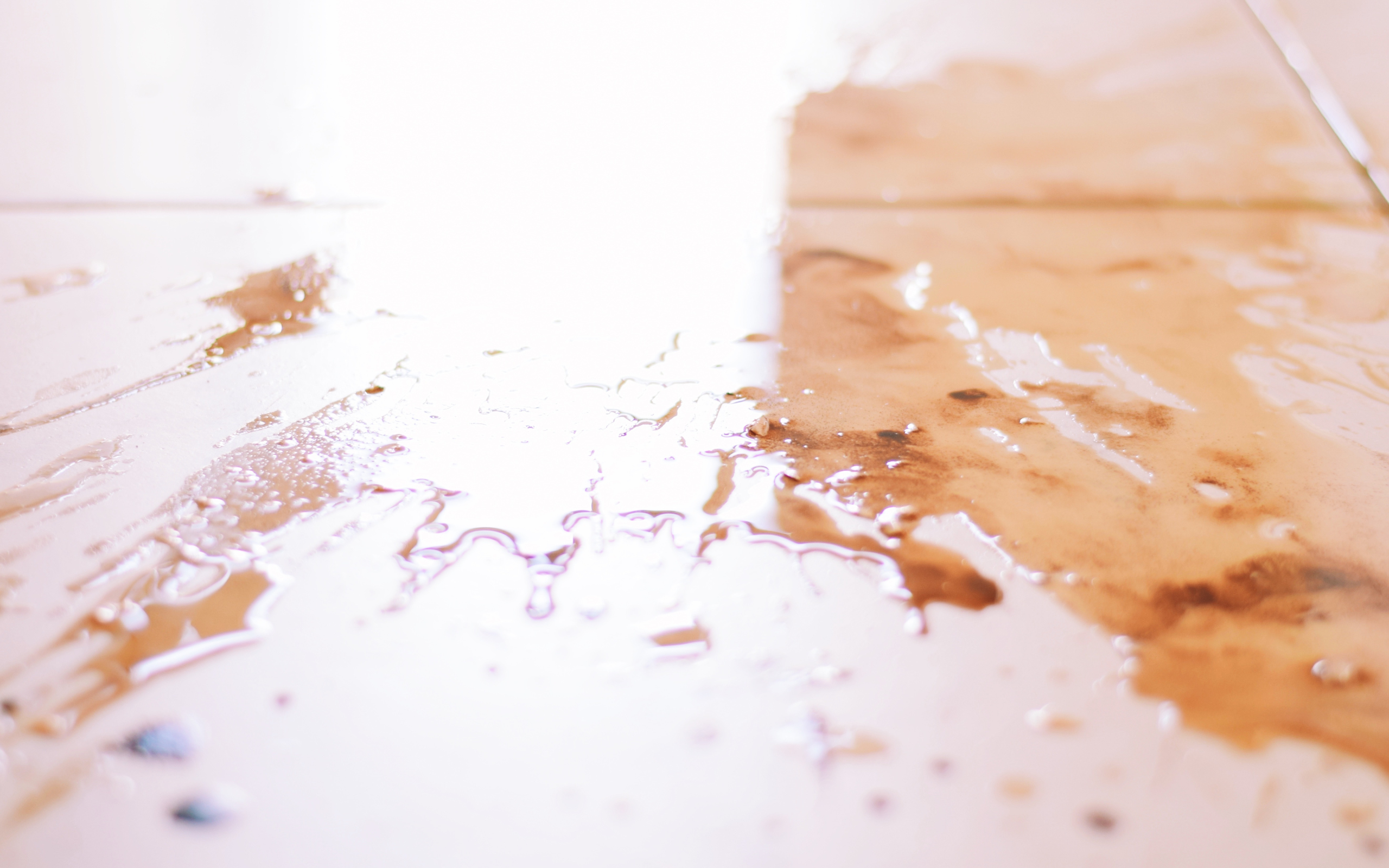 Water extraction and drying in Houston