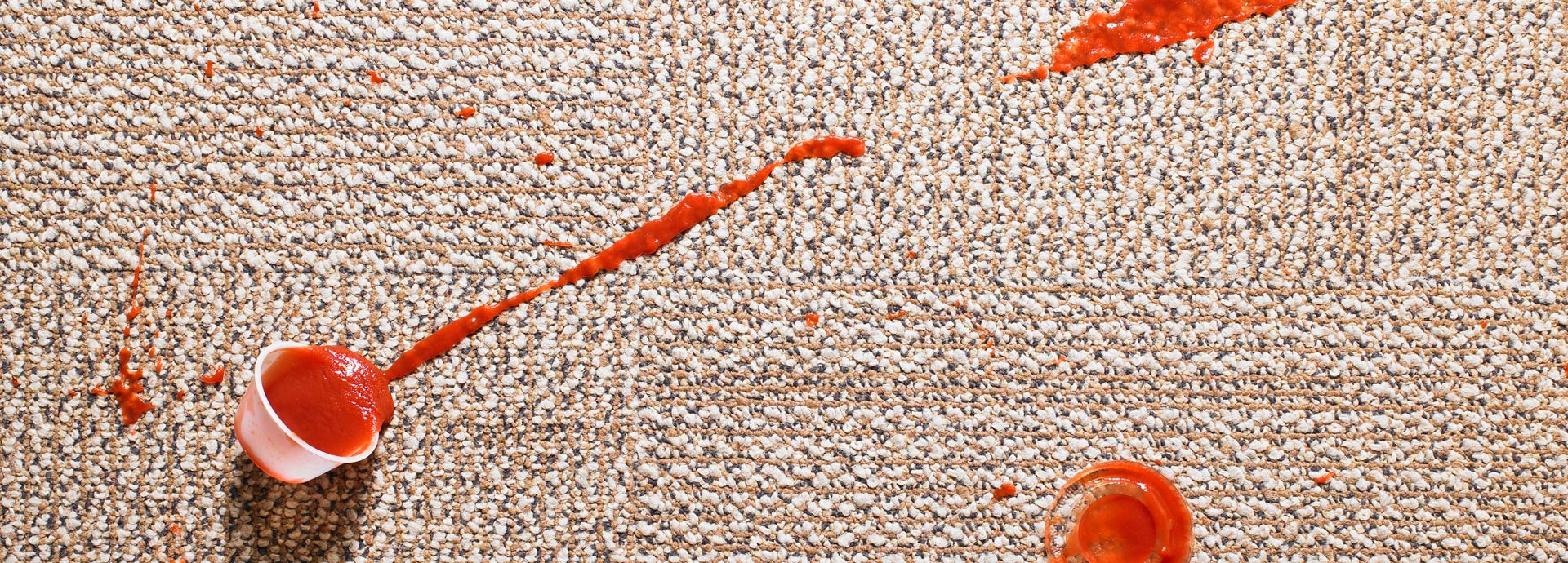Carpet Cleaning In Houston Texas 4