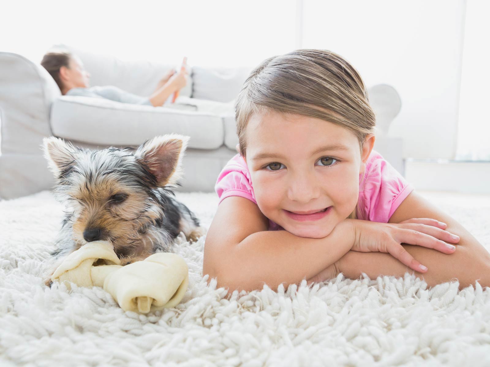 Carpet Treatments